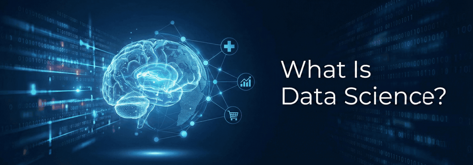 What Is Data Science? Definition, Examples, Skills, and Career Paths What Is Data Science? Definition, Examples, Skills, and Career Paths